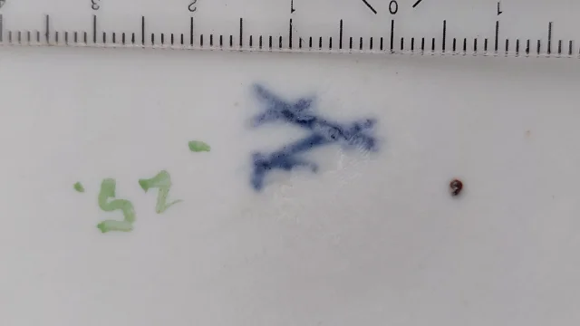 image0000011 (2).jpg