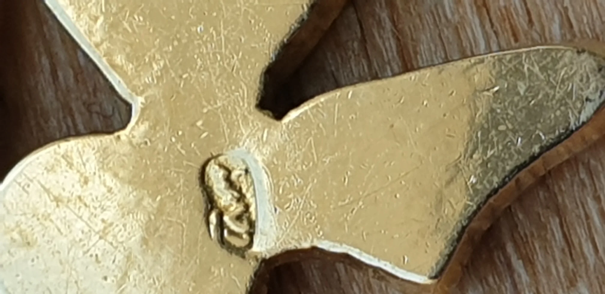 20220828_135600.jpg