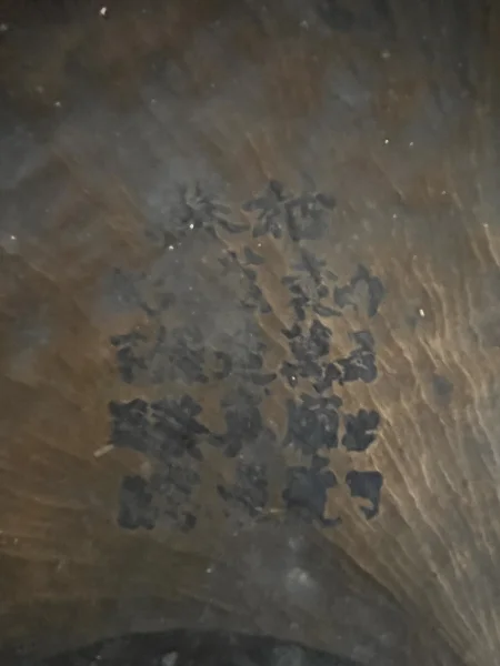 Gong3.jpg