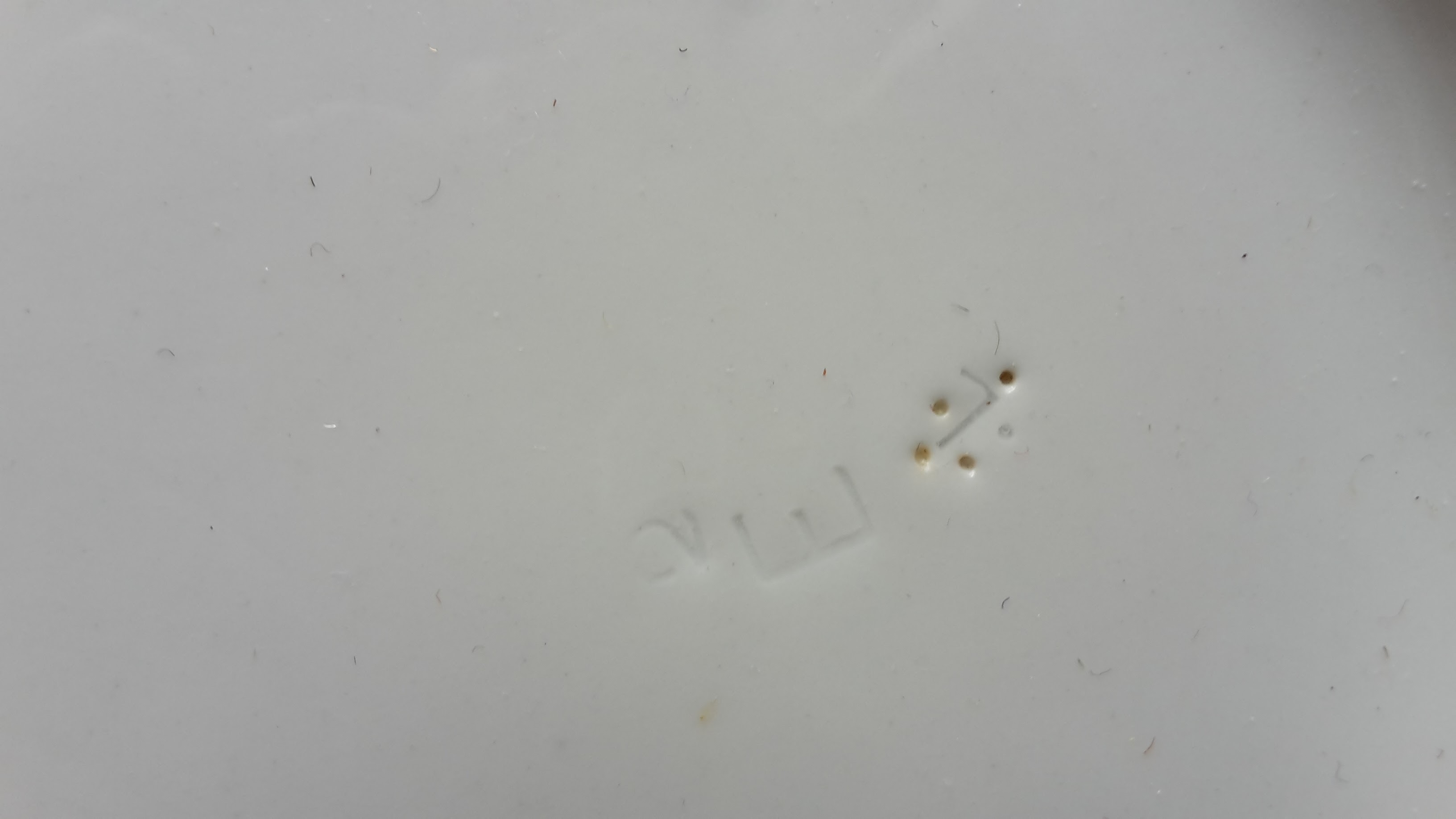 20160616_103521.jpg