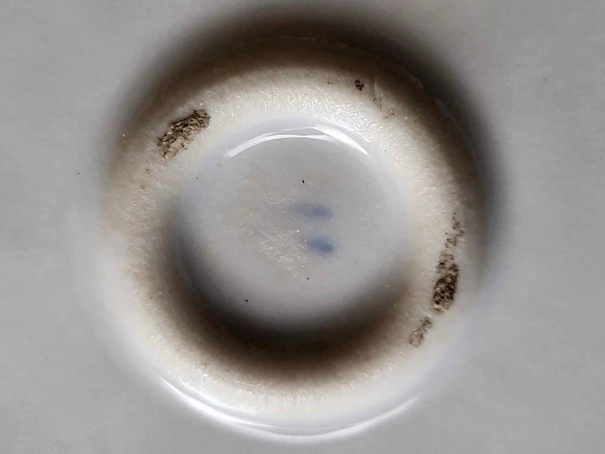 20220925_144724.jpg
