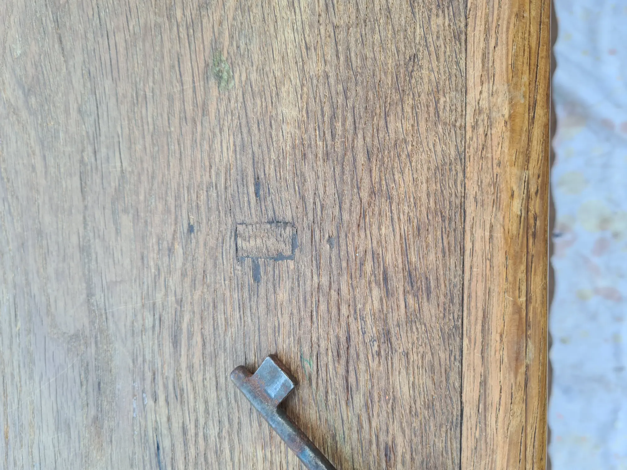 20221030_083347.jpg