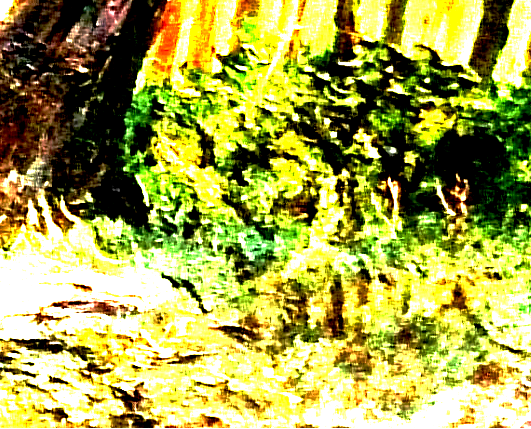 rechte Ecke hell.png