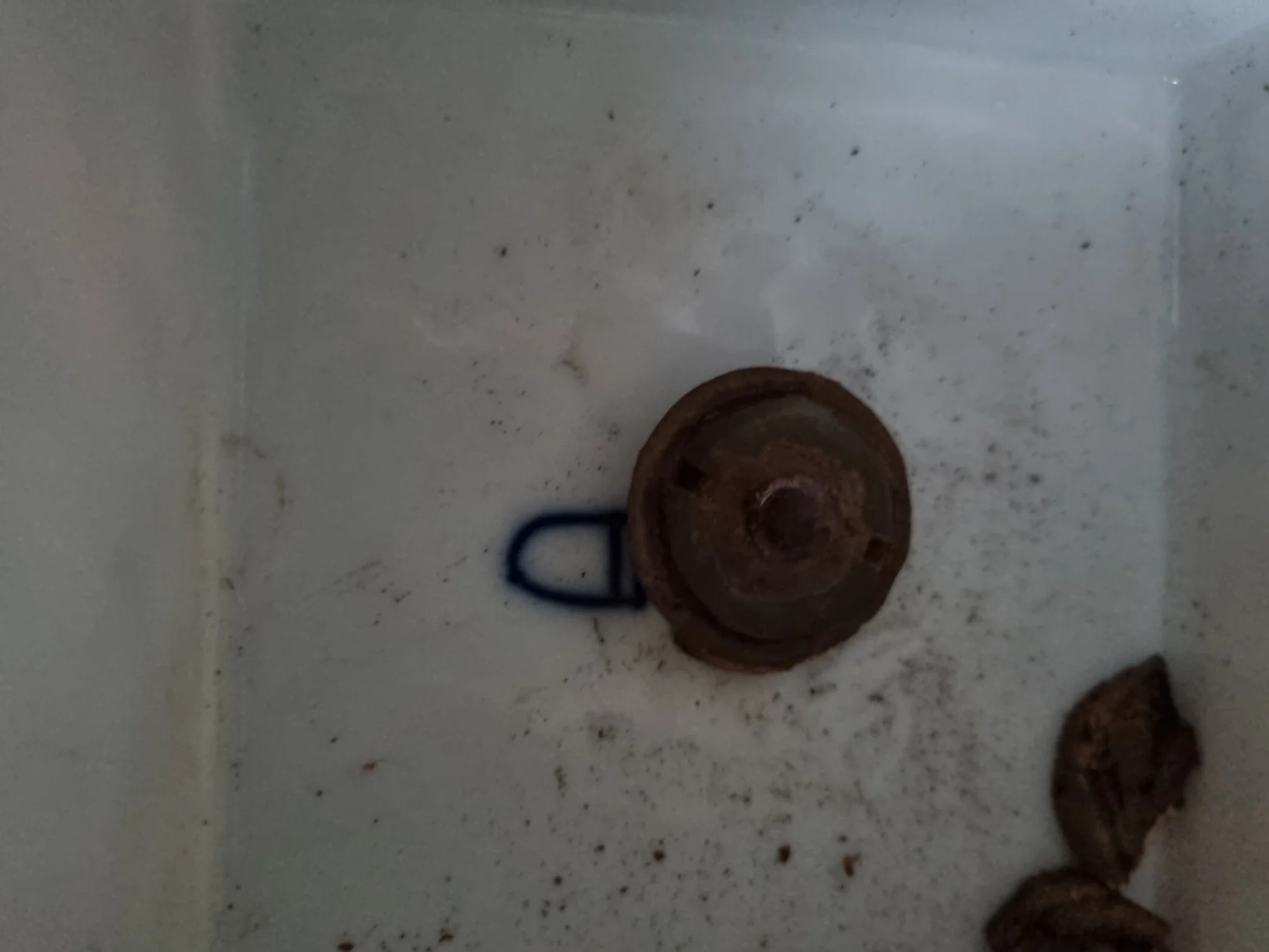 20221211_150227.jpg