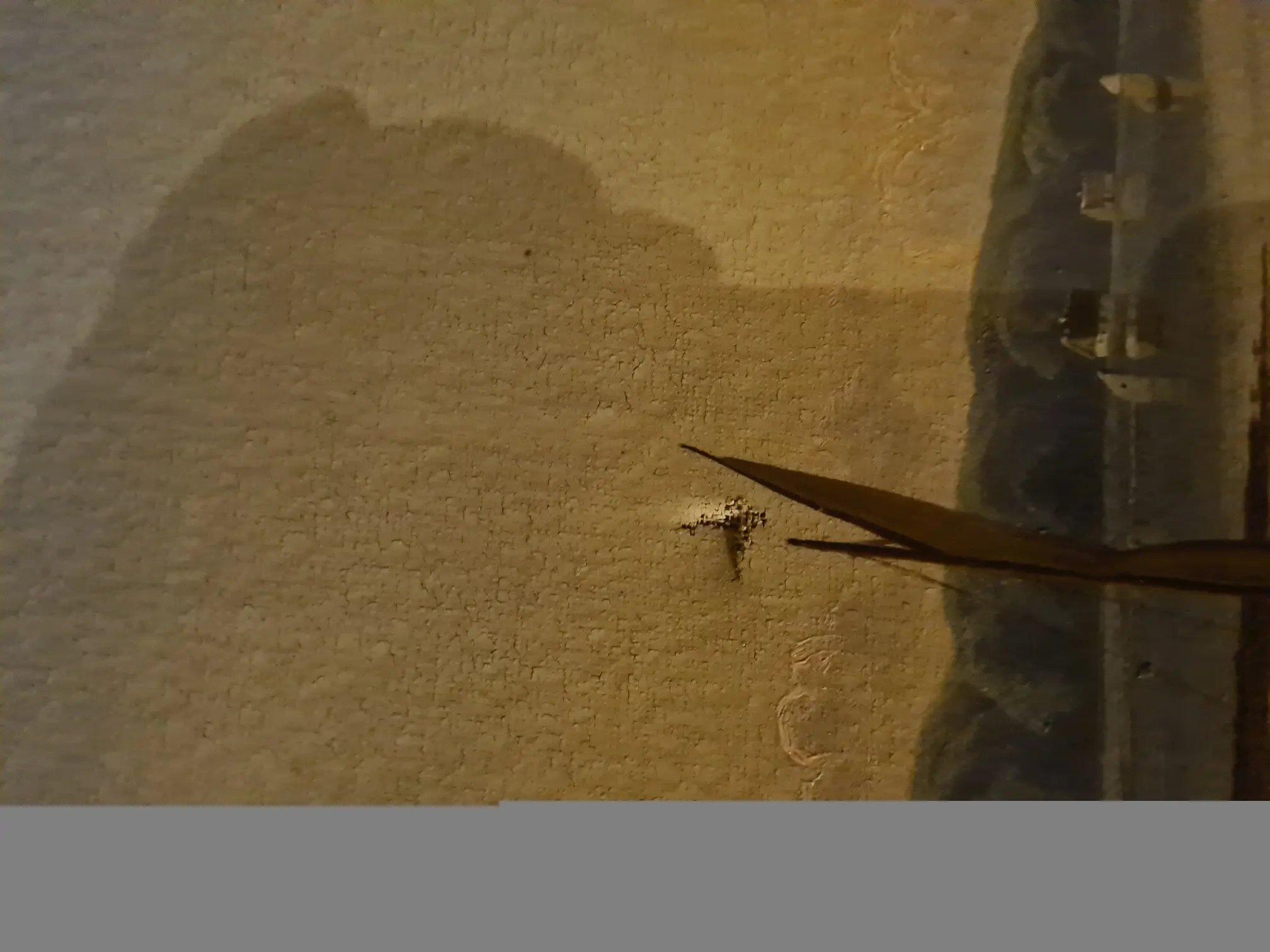 20221216_084015.jpg