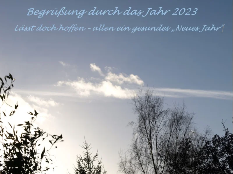 Screenshot 2023-01-01 140428.jpg