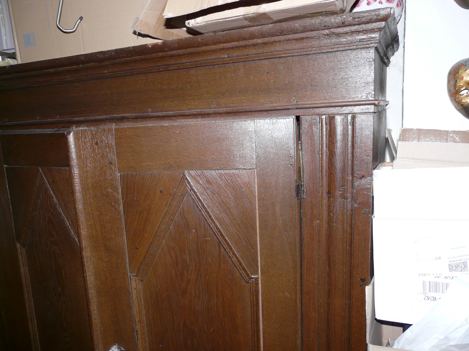 Mooreiche_vorne (3).JPG