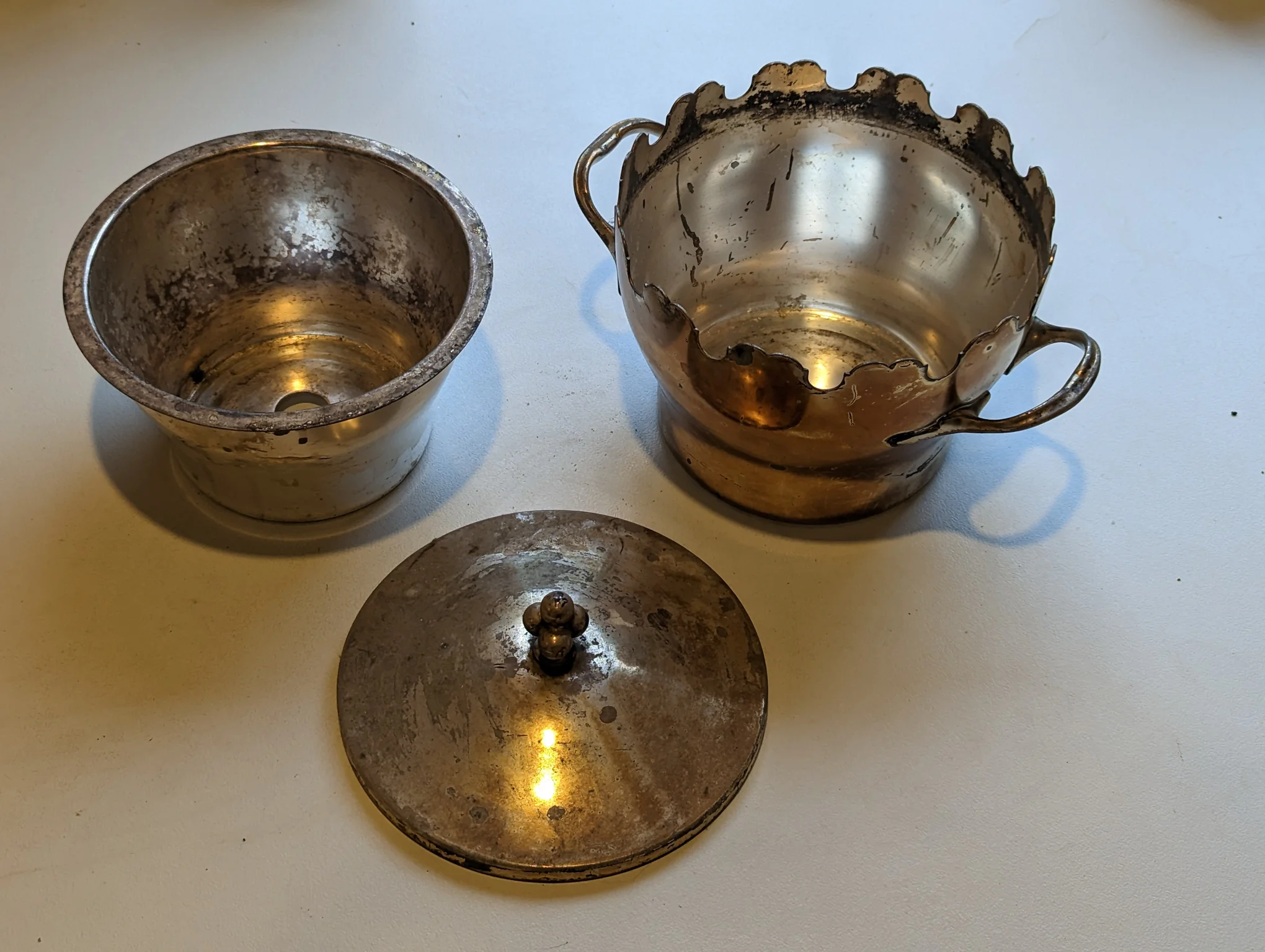 PXL_20230124_081519164.jpg