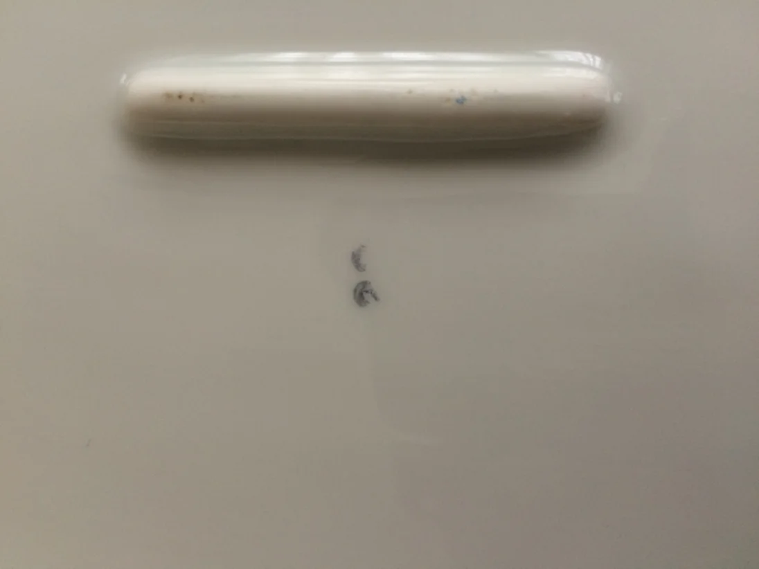 image.jpeg