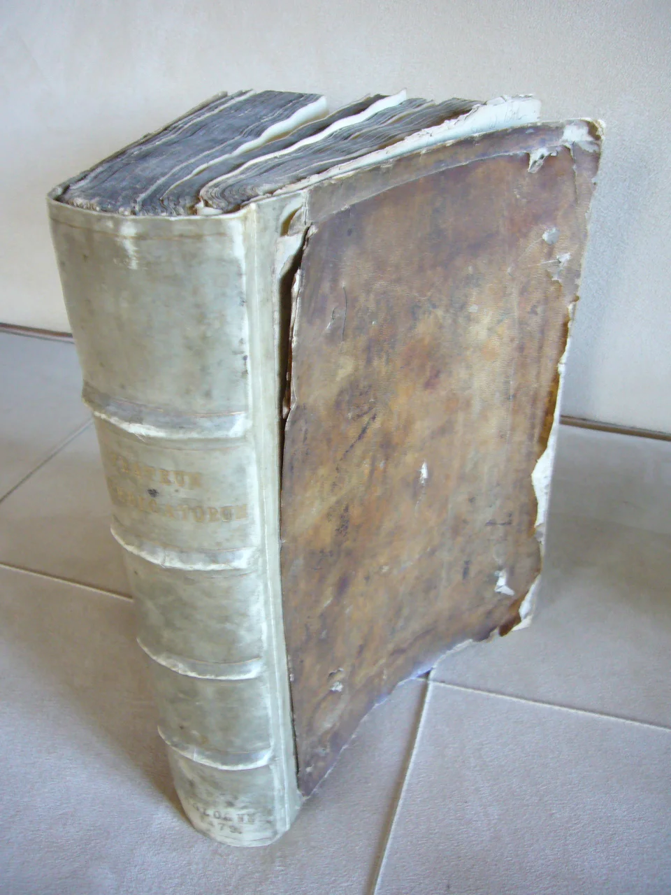 ebay 005.jpg