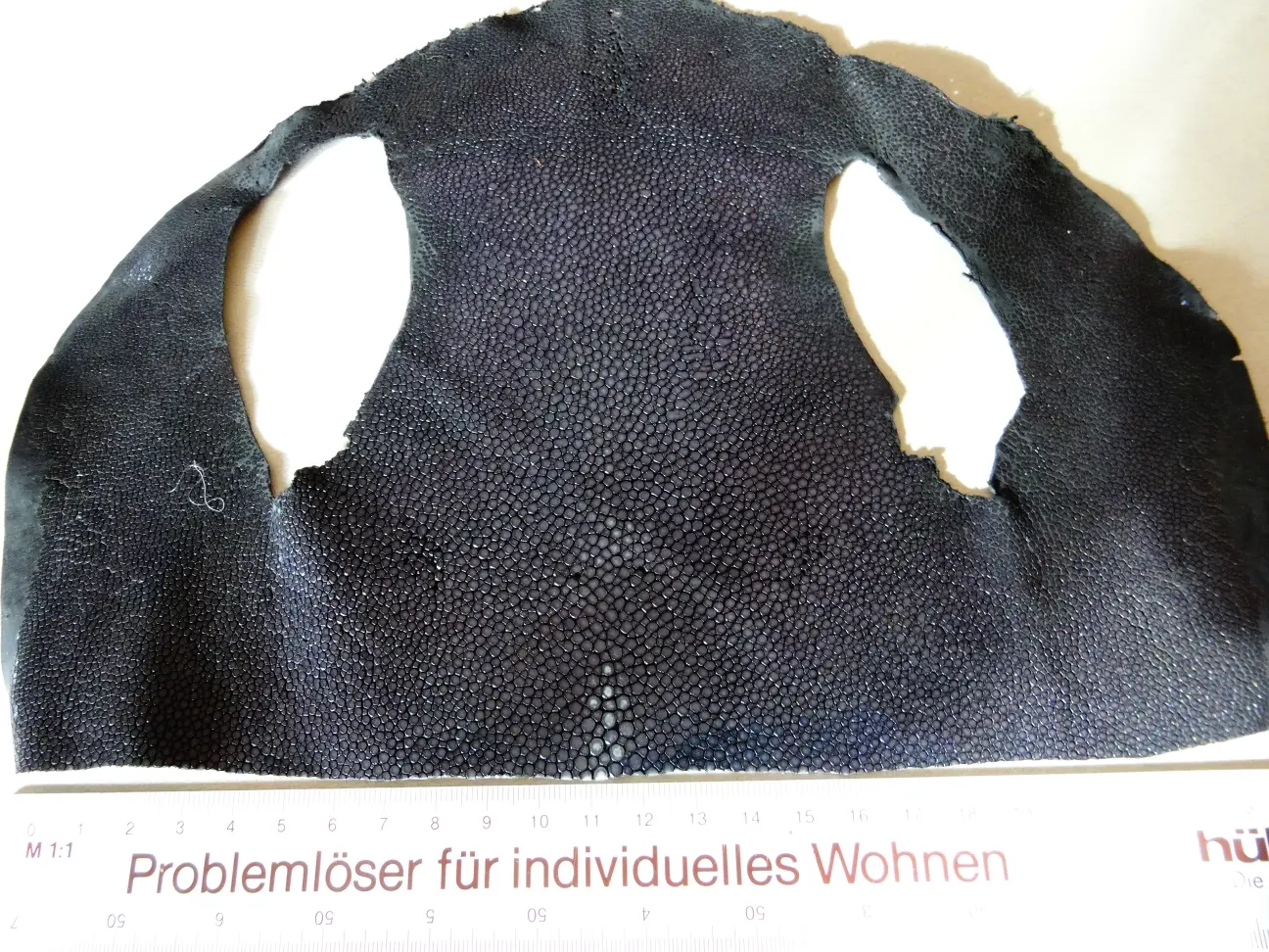 Rochenleder (11).JPG