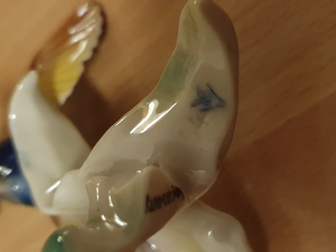 20230311_195737.jpg