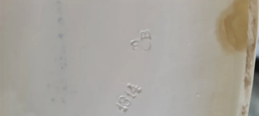 20230312_125241.jpg