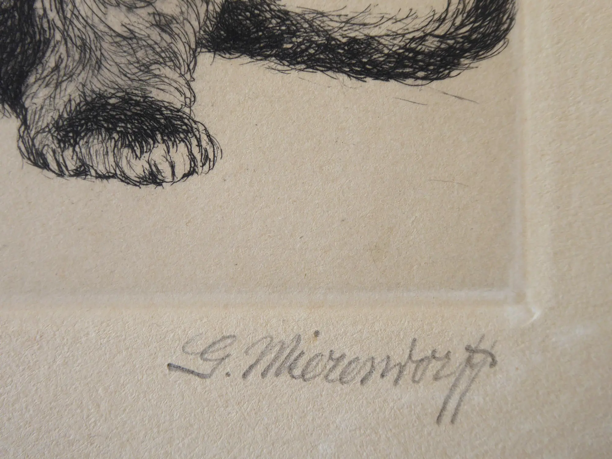 Mierentorff (3).JPG
