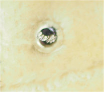 p2.jpg
