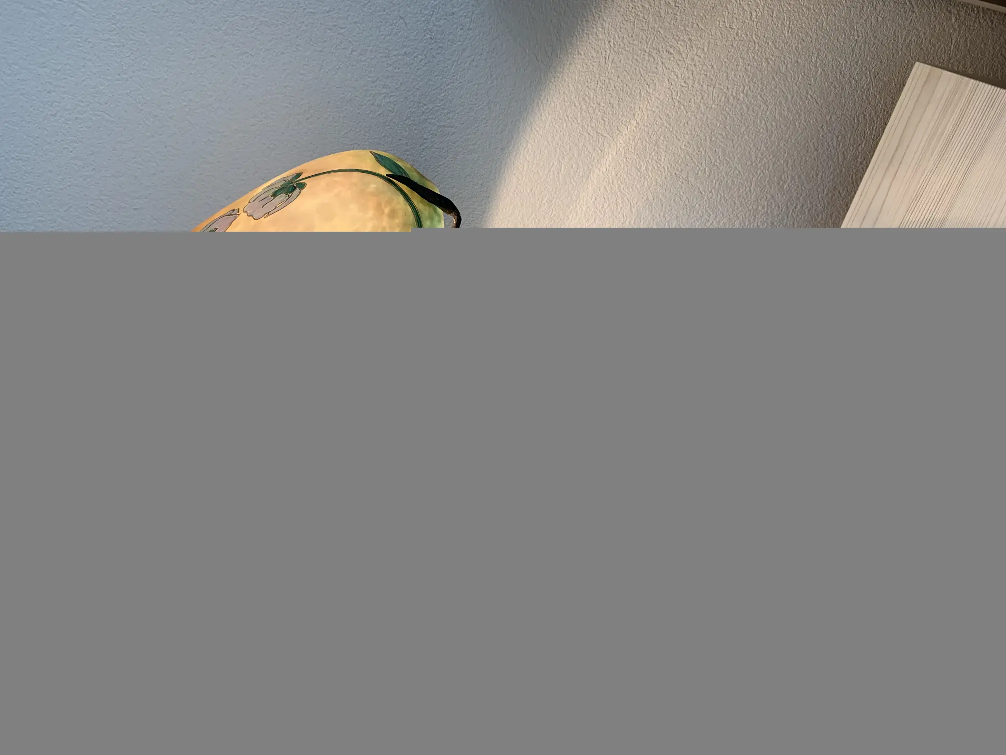IMG_1206.jpeg
