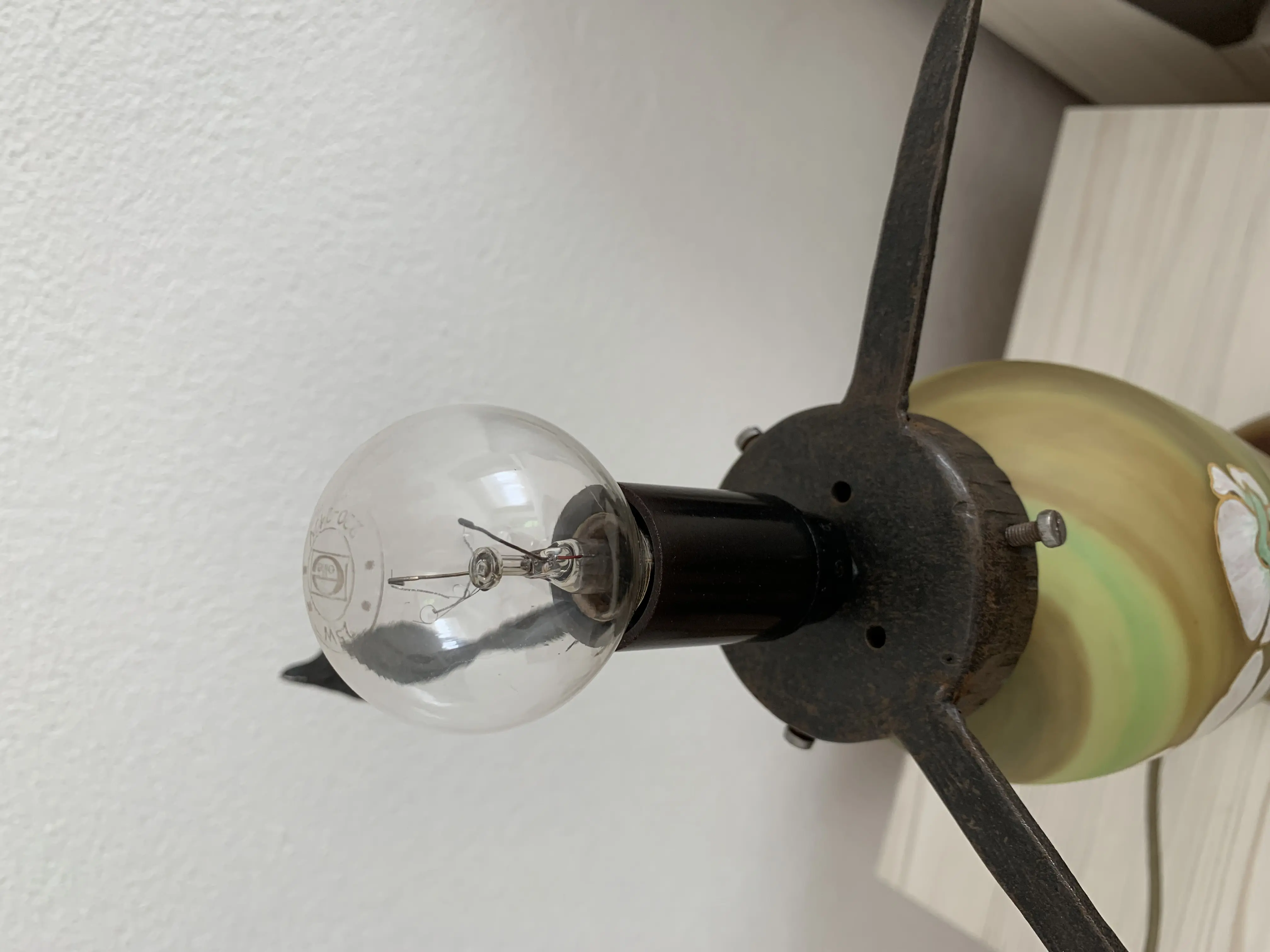 IMG_1198.jpeg