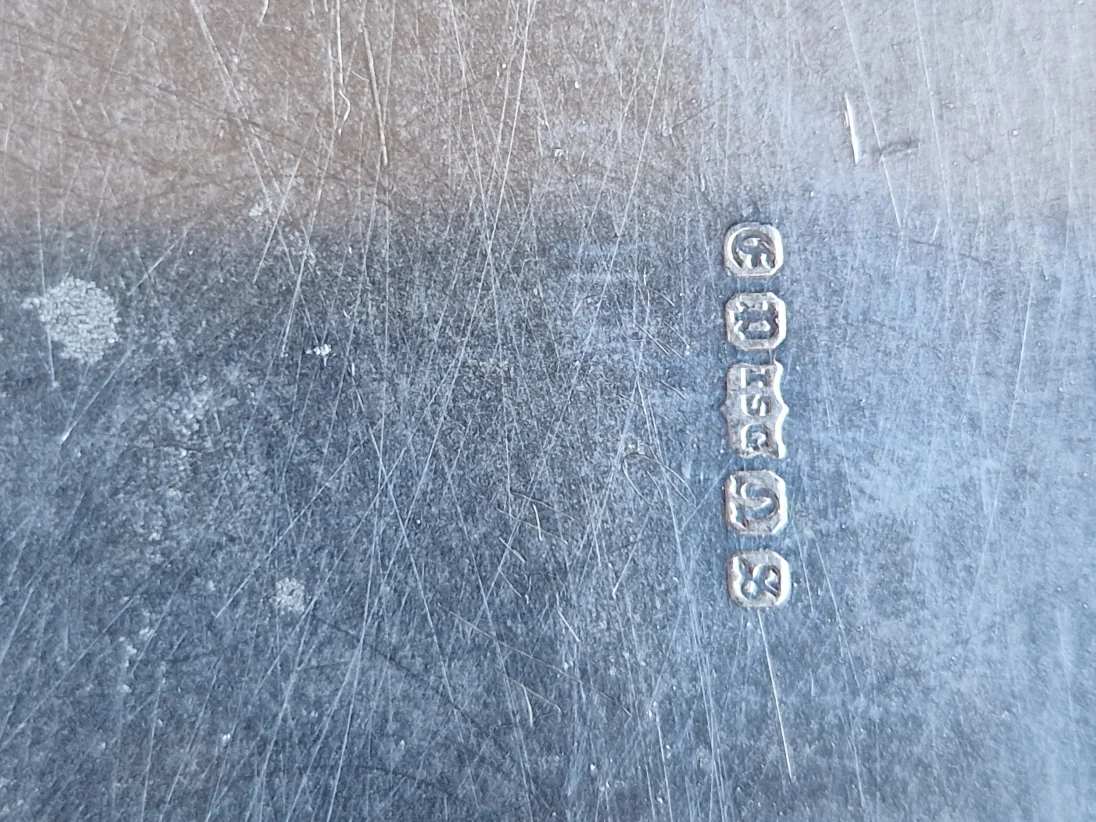 16857753017922620269143726394392.jpg