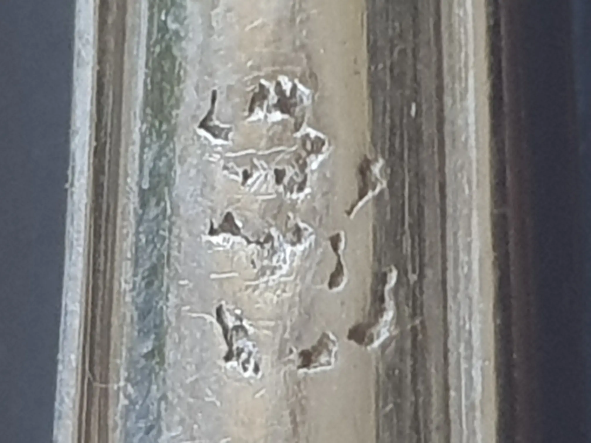 20230614_154331.jpg