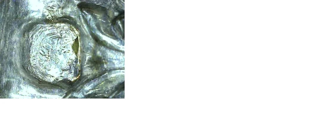 Punze 2.png