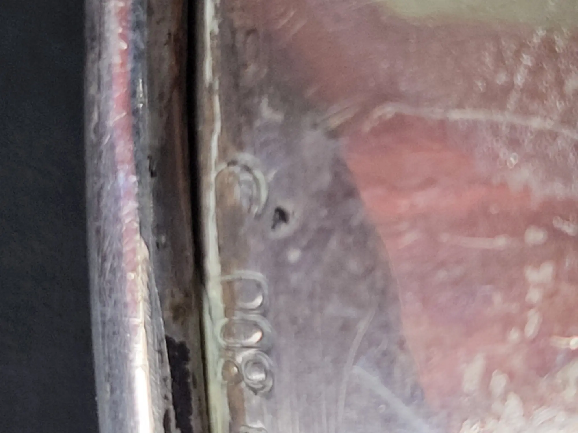 20230728_100607.jpg