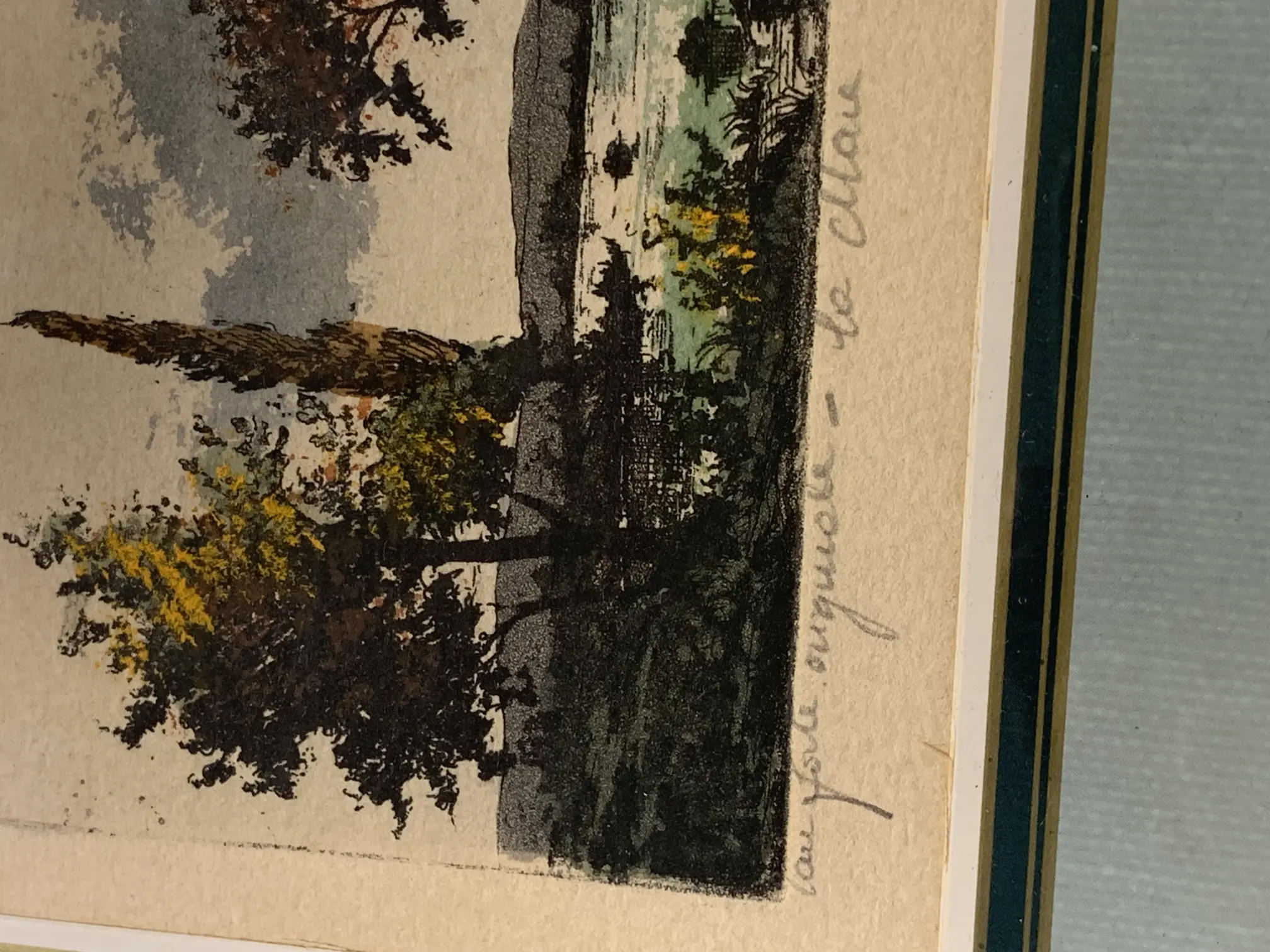 IMG_8335.jpeg
