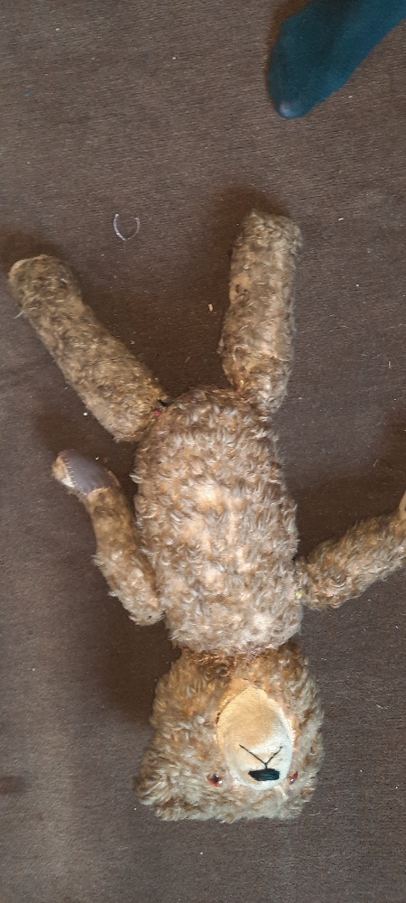 teddy 3.jpg