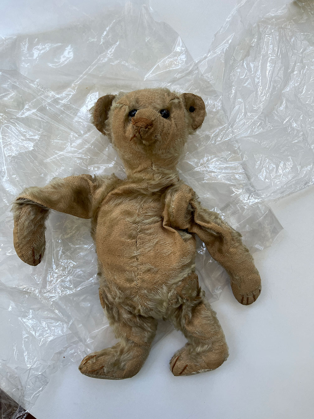 teddy1.jpg