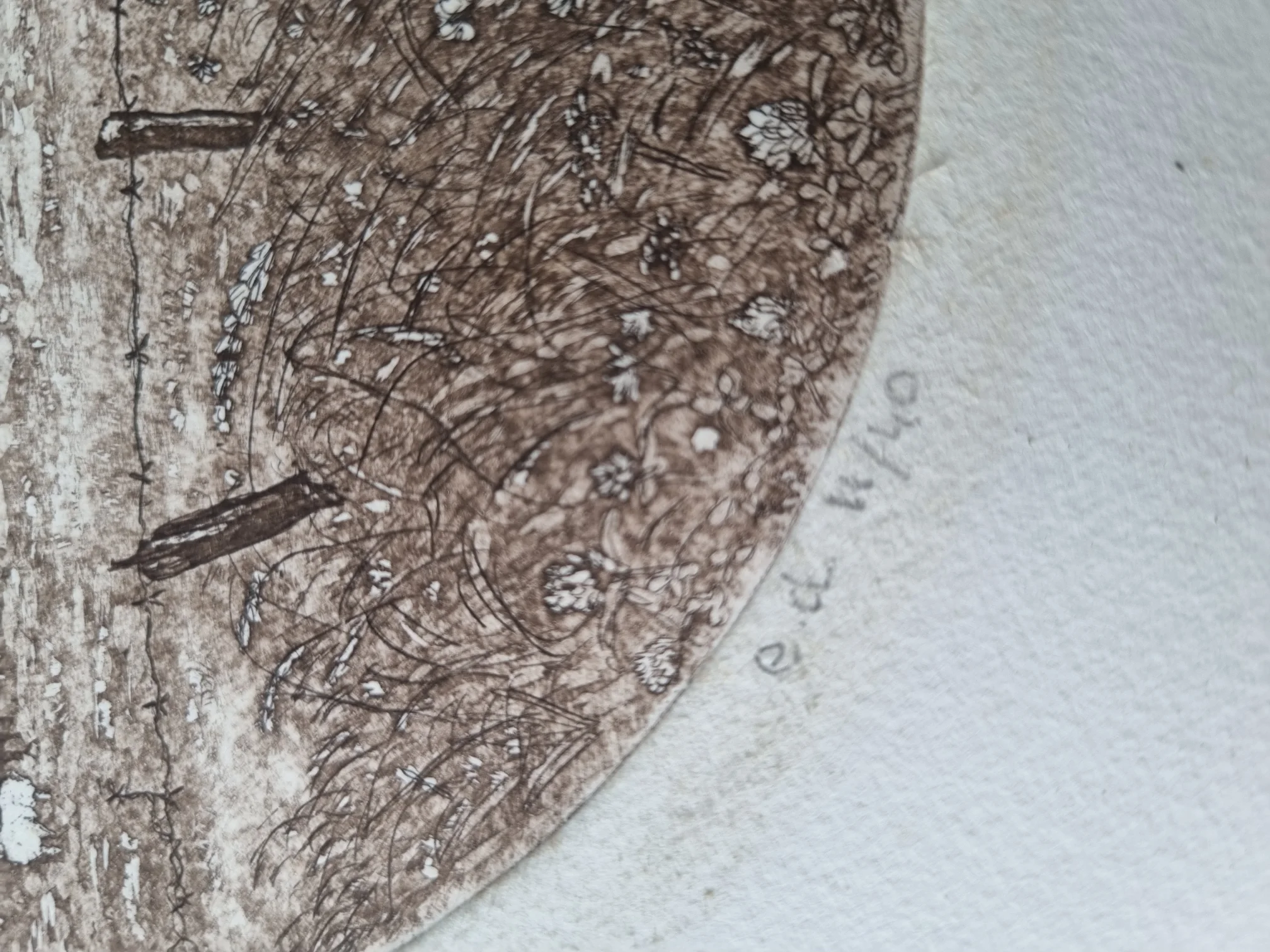 20230829_192924.jpg