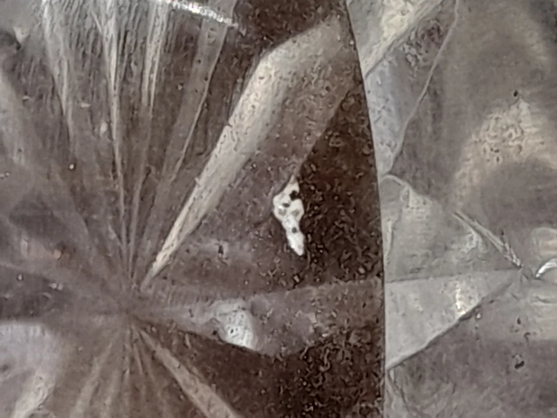 20230905_174201.jpg