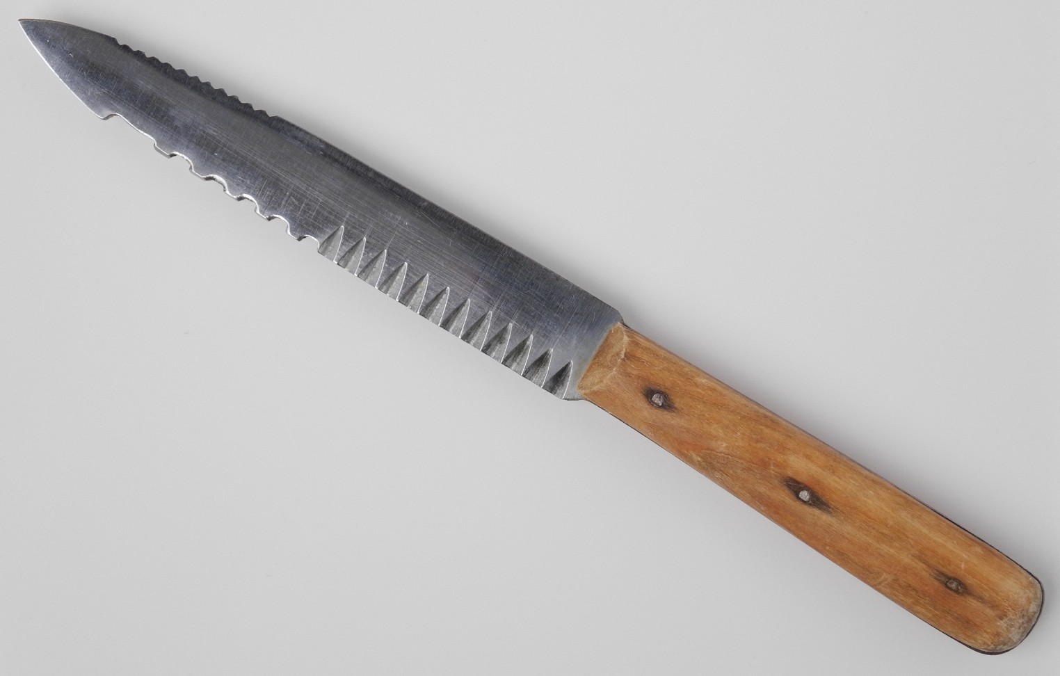 MesserDSCN9899.JPG