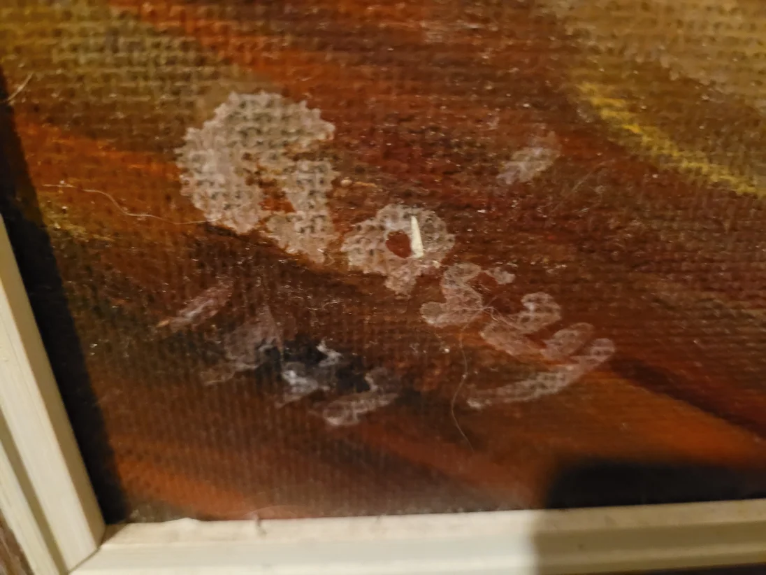 20230927_015457.jpg