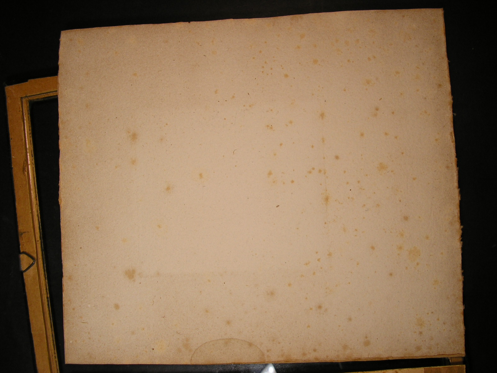 P1010015.JPG
