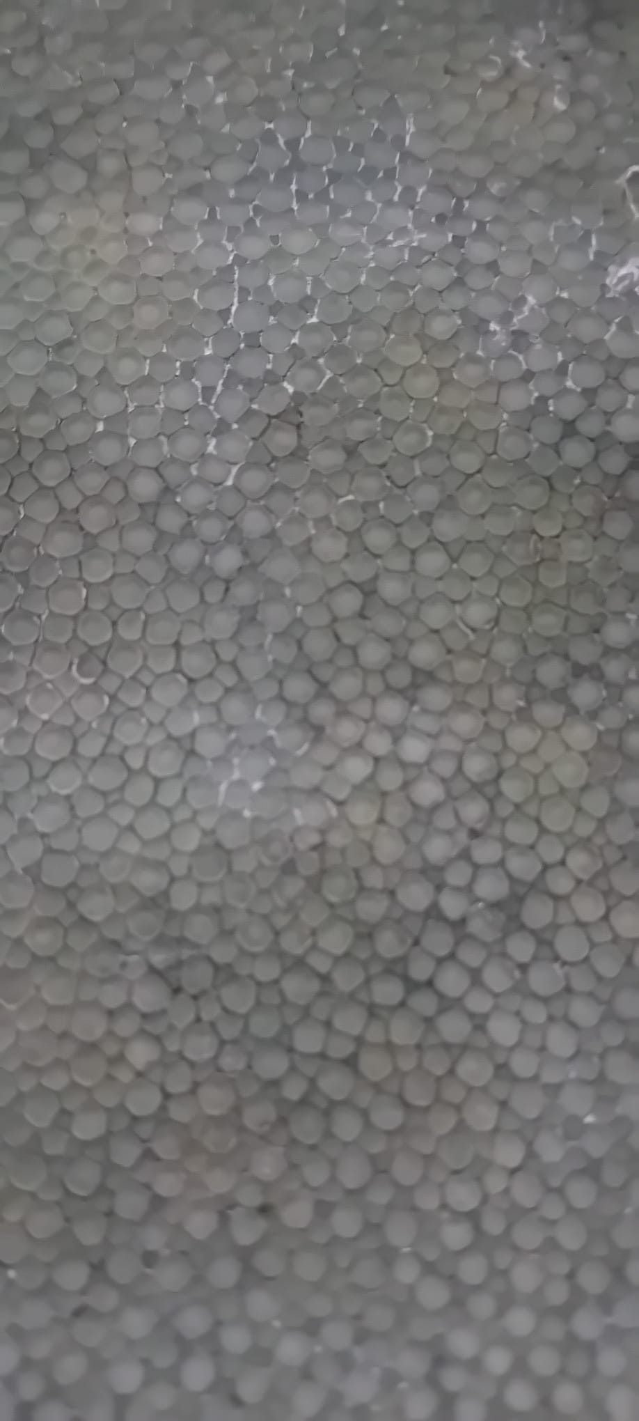 79a08f08-df62-4ada-9c56-7f0f6cac0f93.jpg