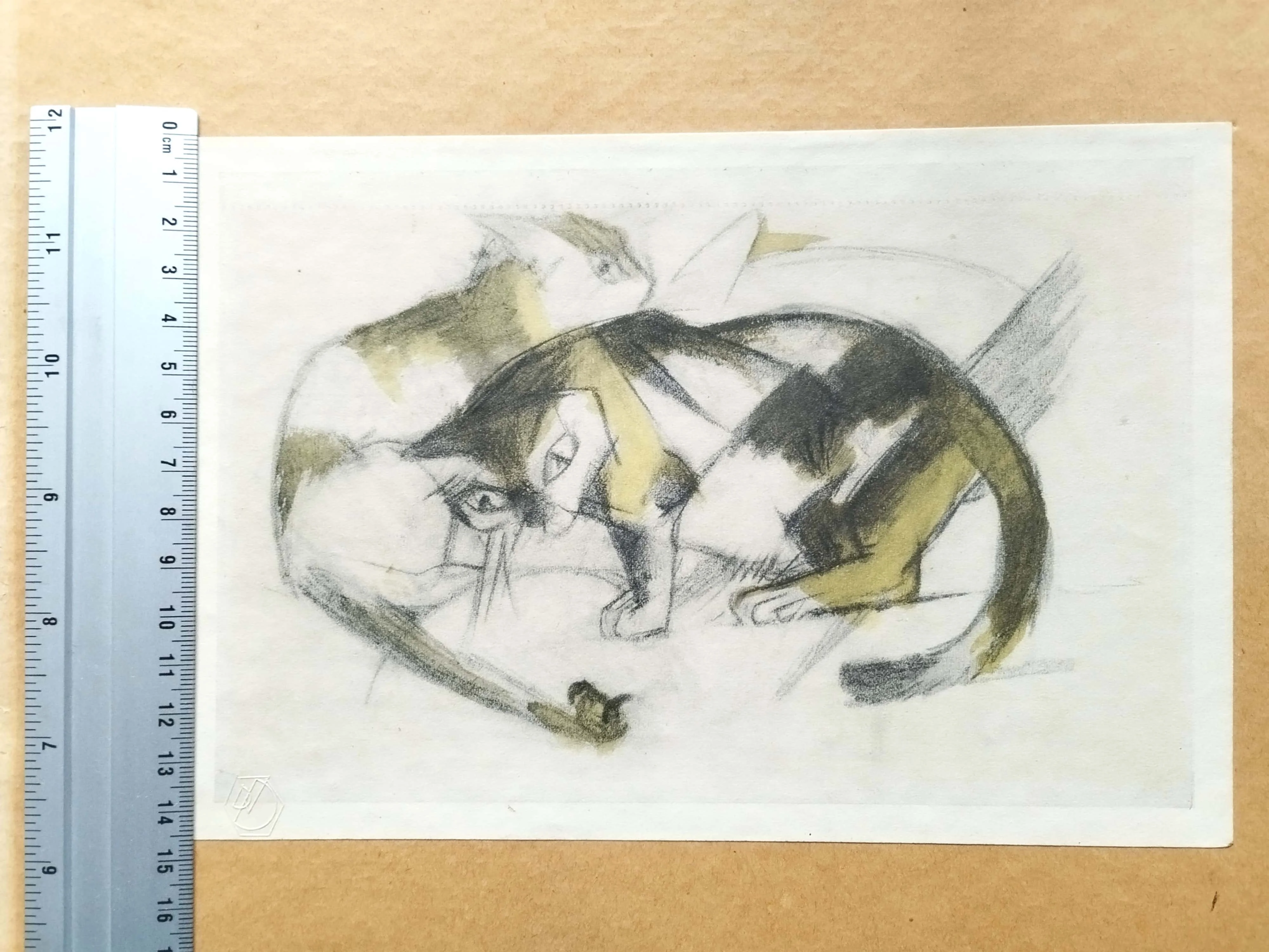 1699195390581-min.jpg