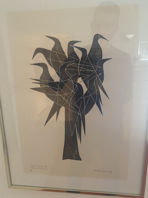 IMG_5369.jpeg