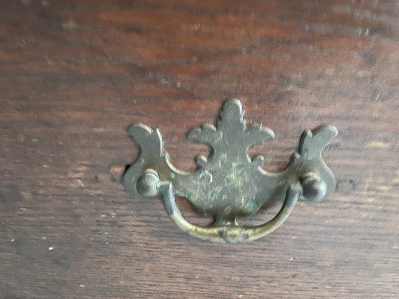 Groß (IMG_9756).jpeg