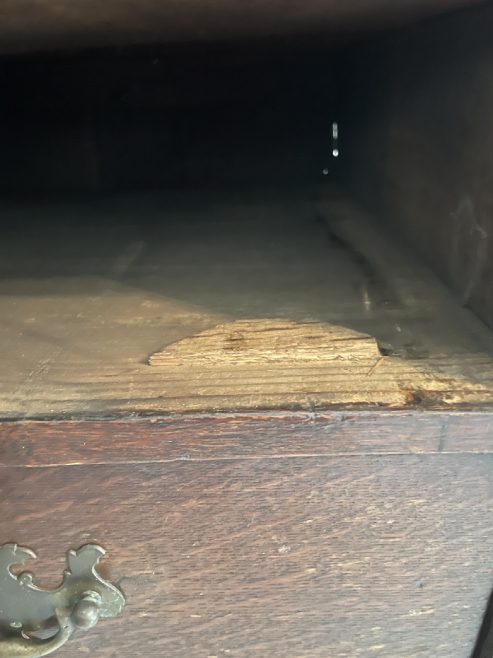 Groß (IMG_9765).jpeg