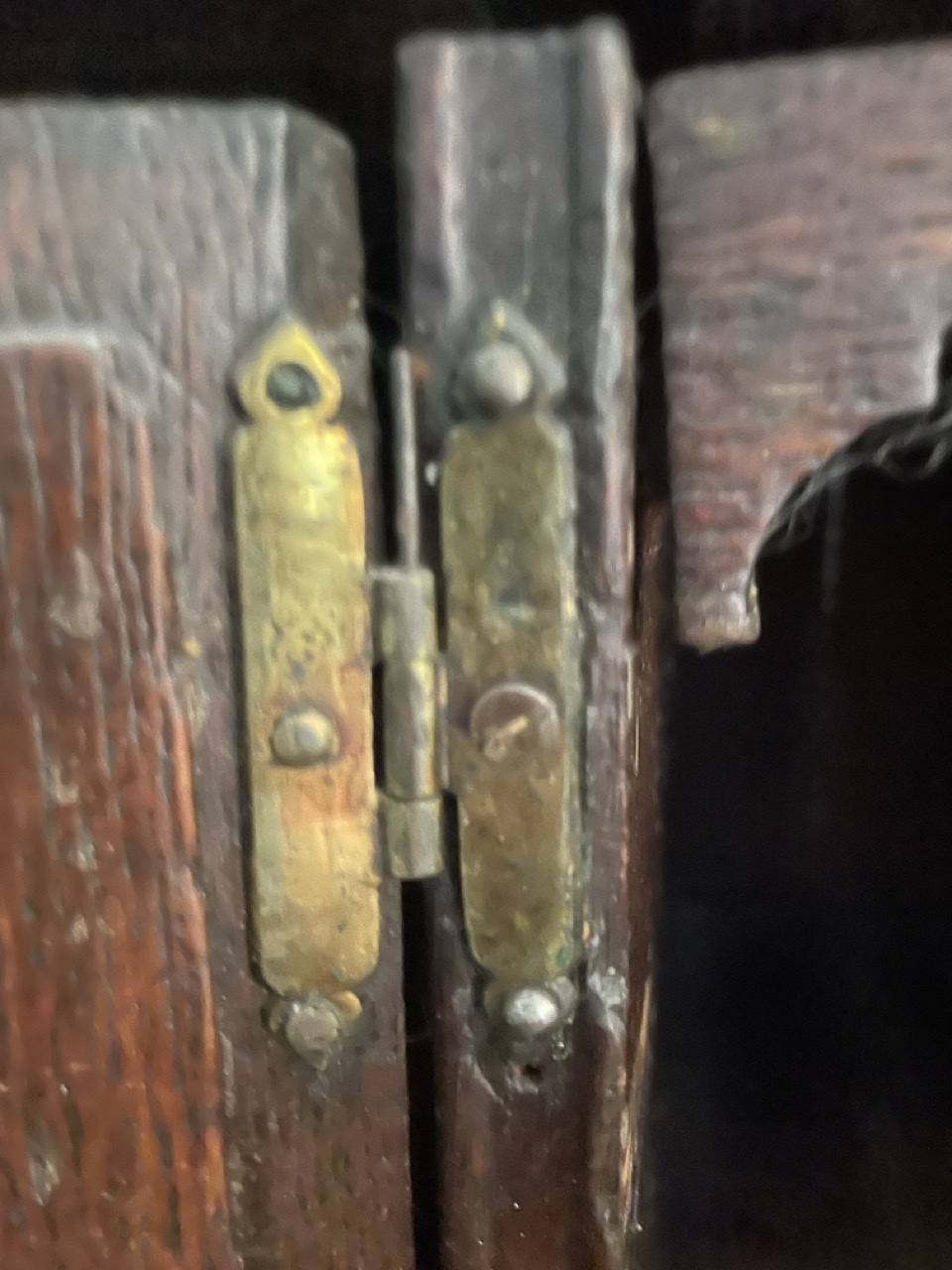 Groß (IMG_9771).jpeg