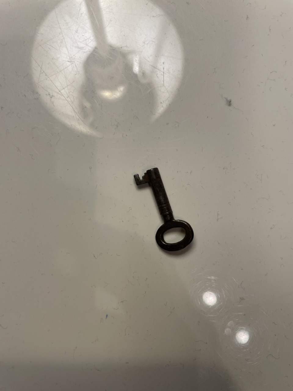 Groß (IMG_9783).jpeg