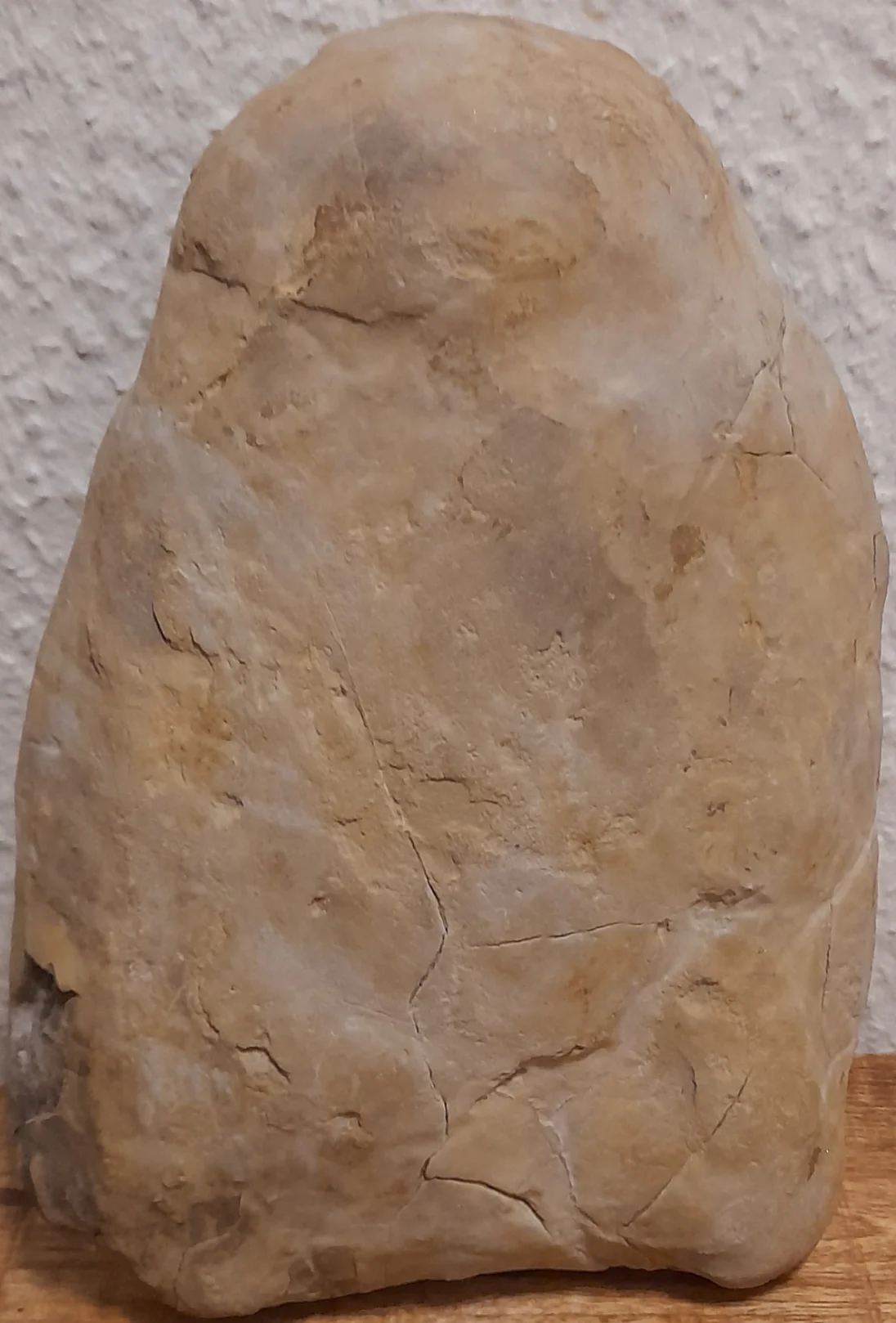 20231219_194116.jpg