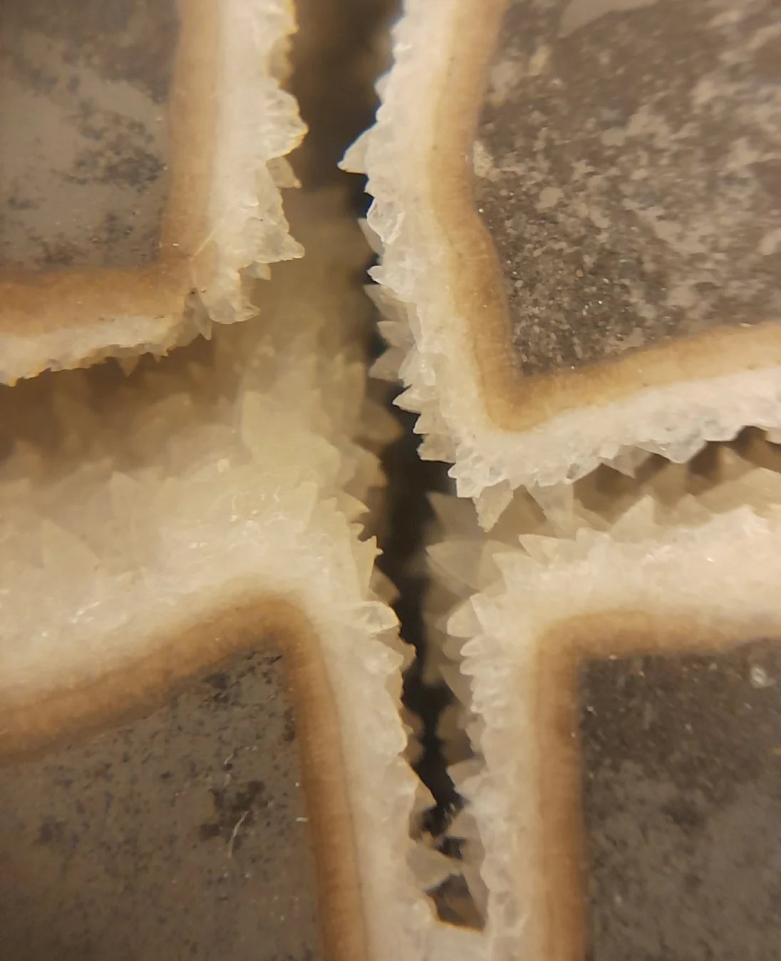 20231219_215915.jpg