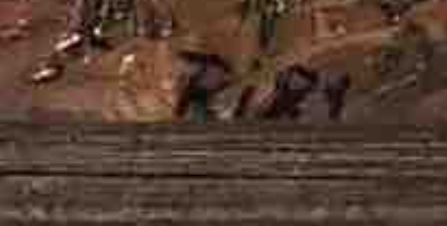IMG_6092.jpeg