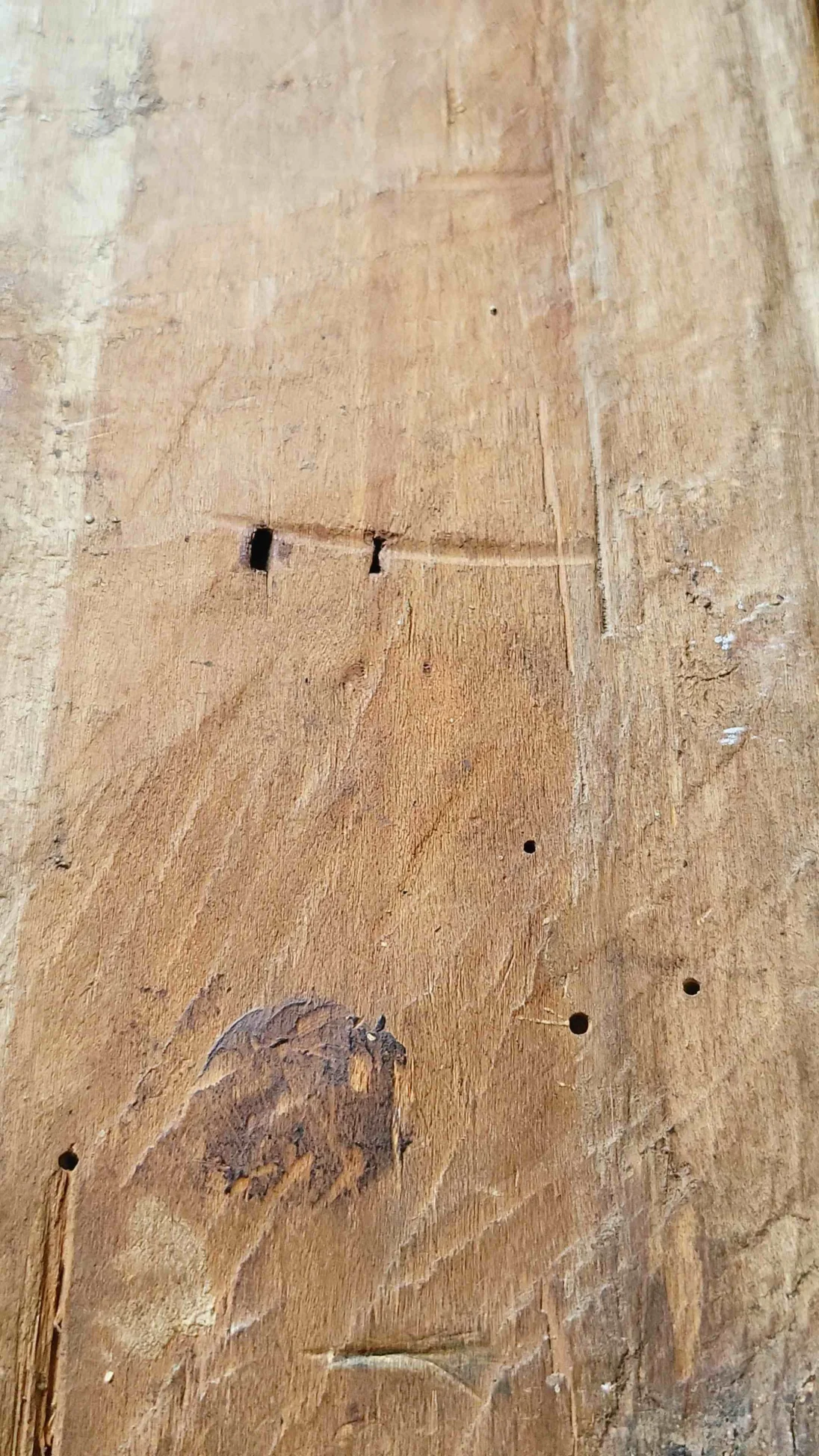 MG_20240313_094820_HDR.jpg