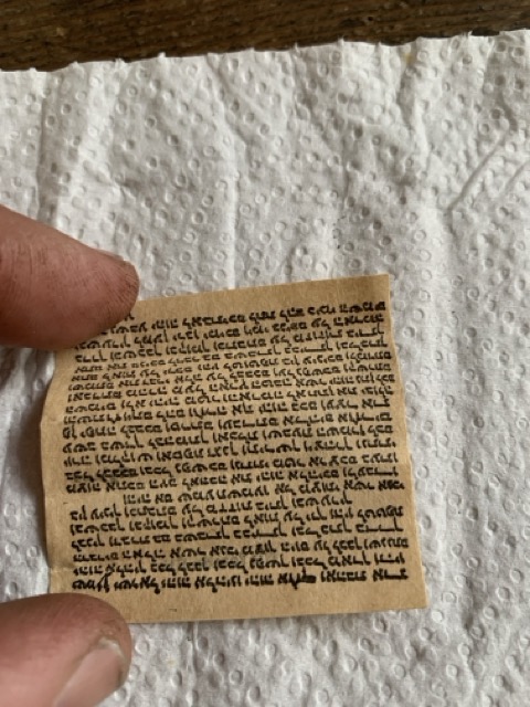 Mittel (IMG_8693).jpeg