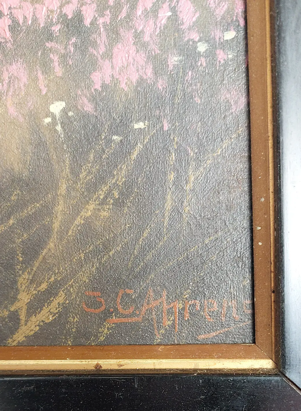 1000058706.jpg