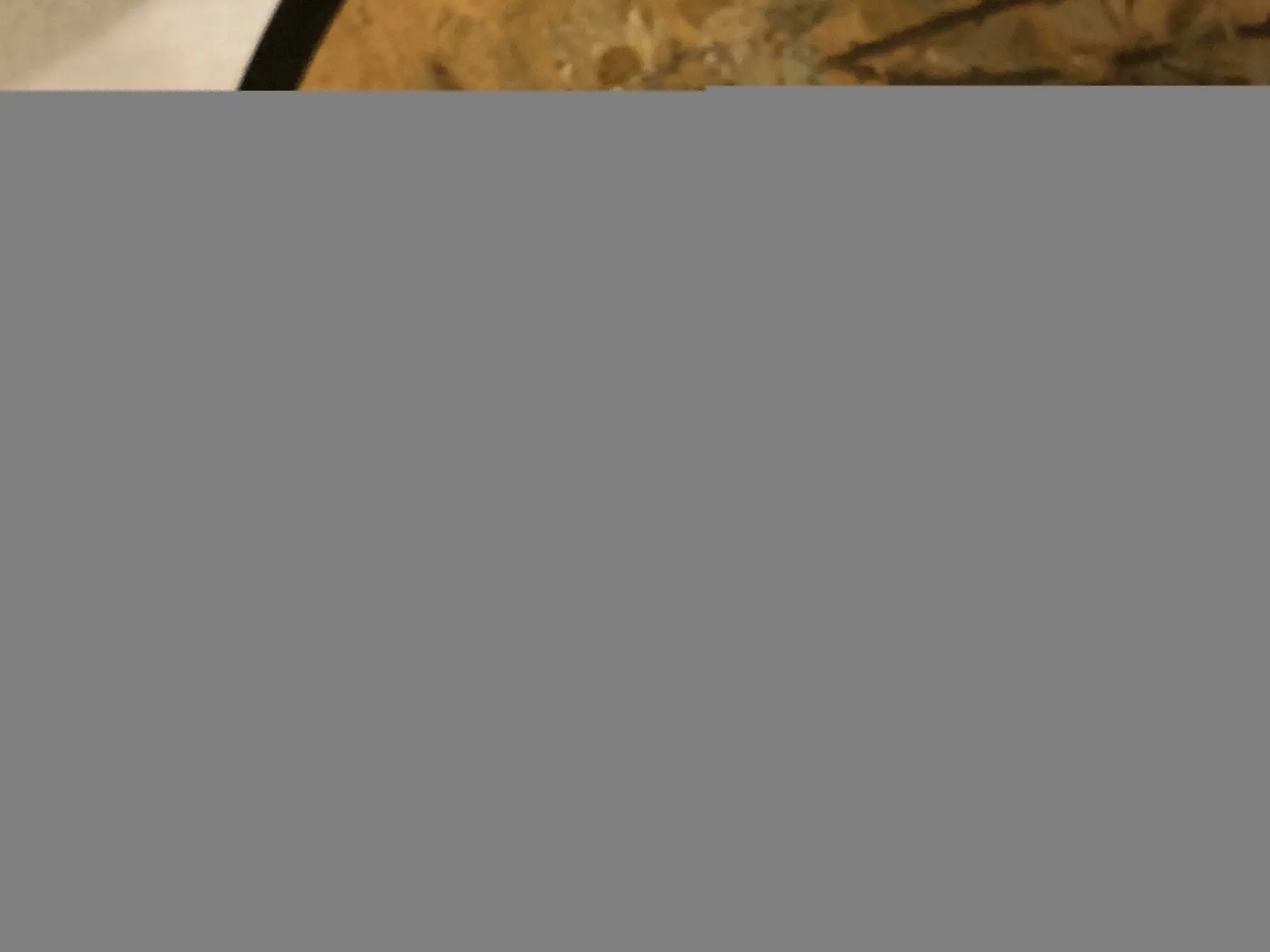 IMG_0597.jpeg