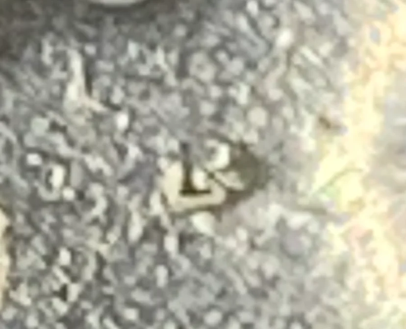 jetzt sieht man das P