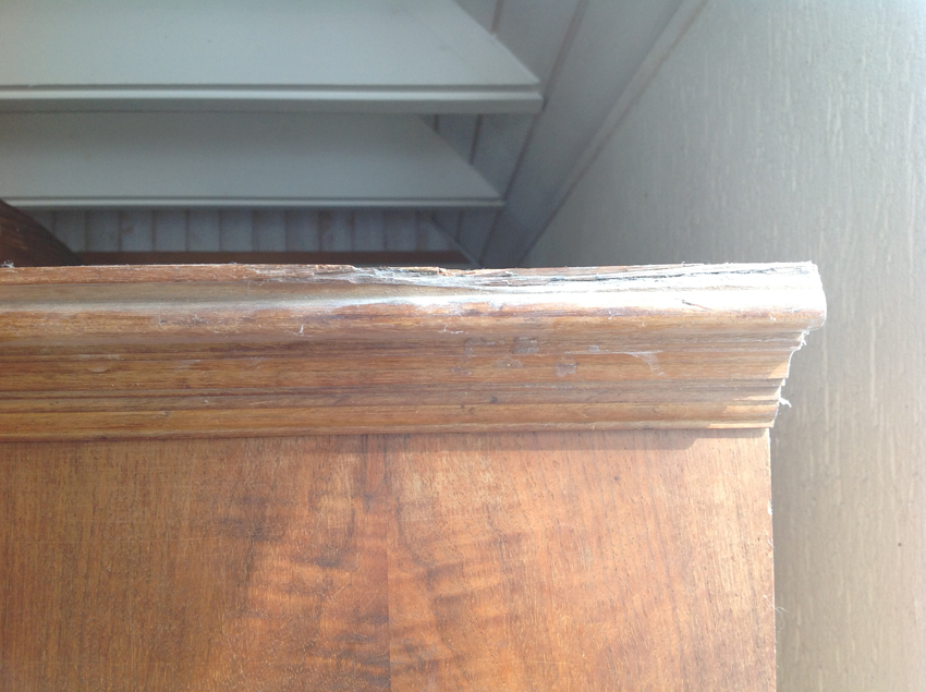 foto1.jpg