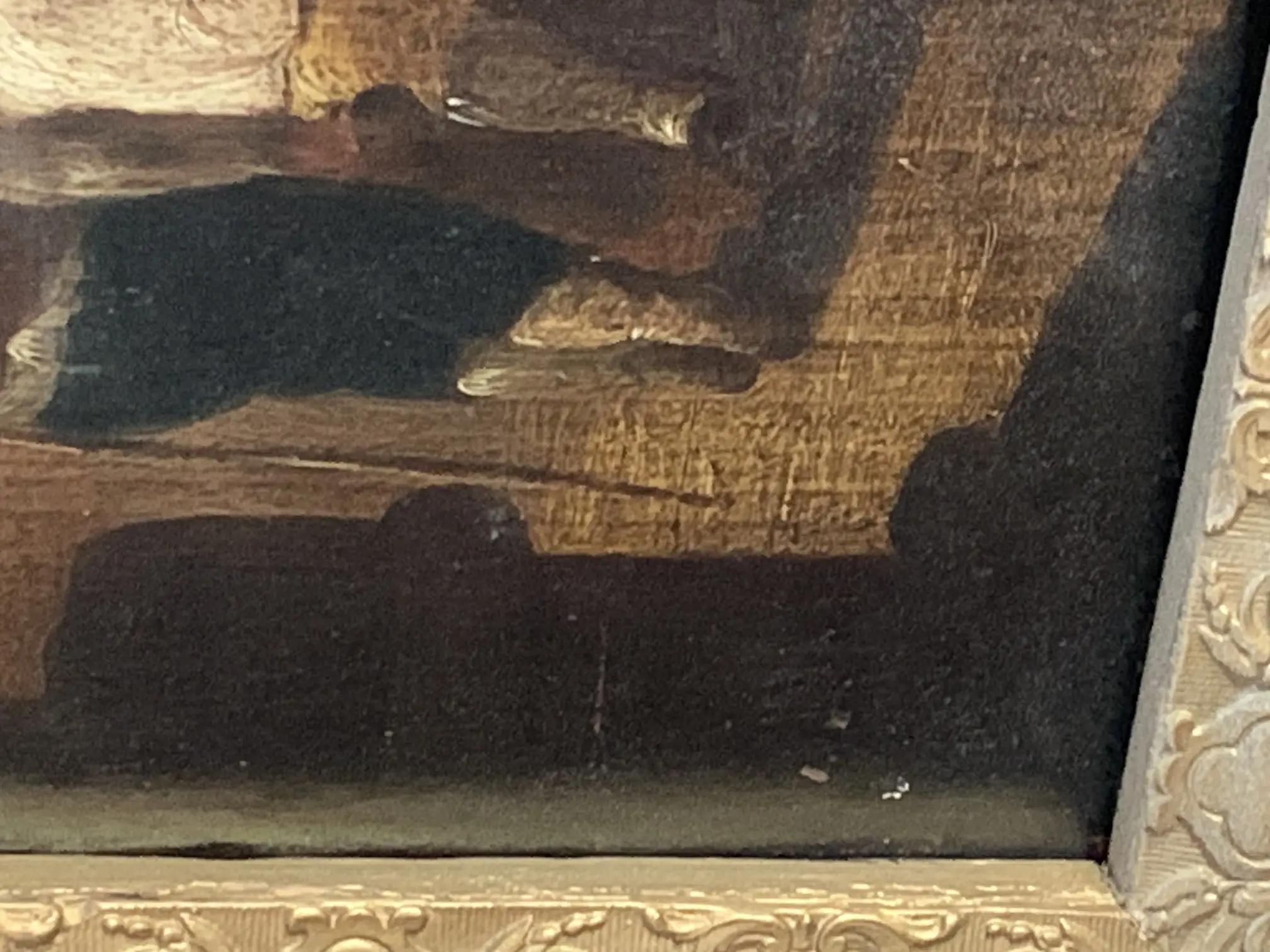 IMG_1781.jpeg